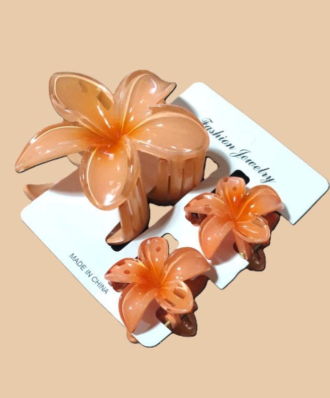 Barrette Cheveux Fashion Jewelry Medium 12pcs - A-29